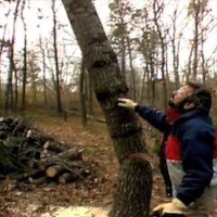 Quick Tip: Felling a Small Tree
