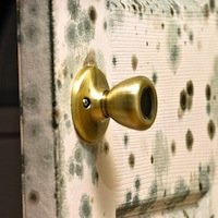 Quick Tip: Mold Prevention
