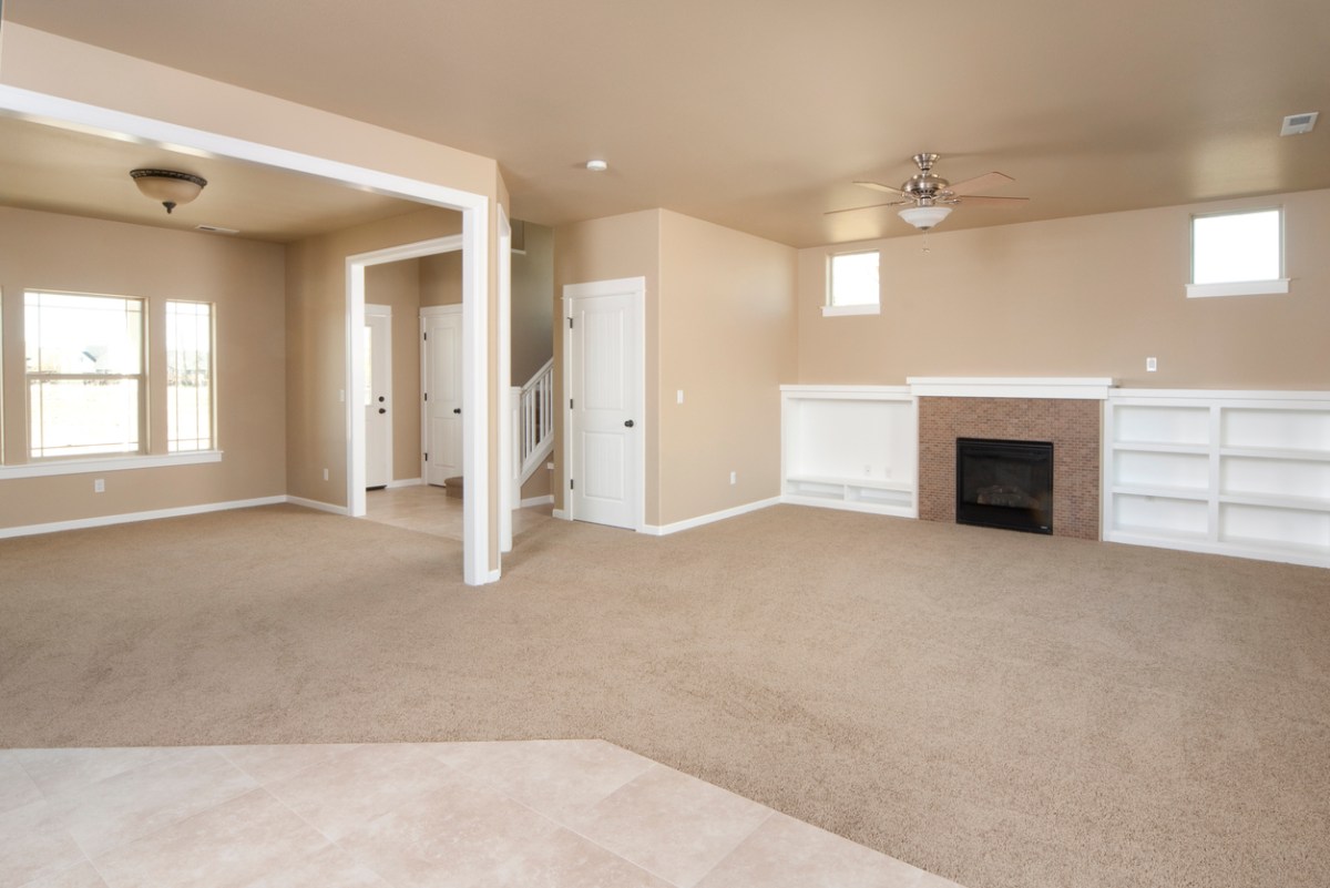 Living Room with Carpet
