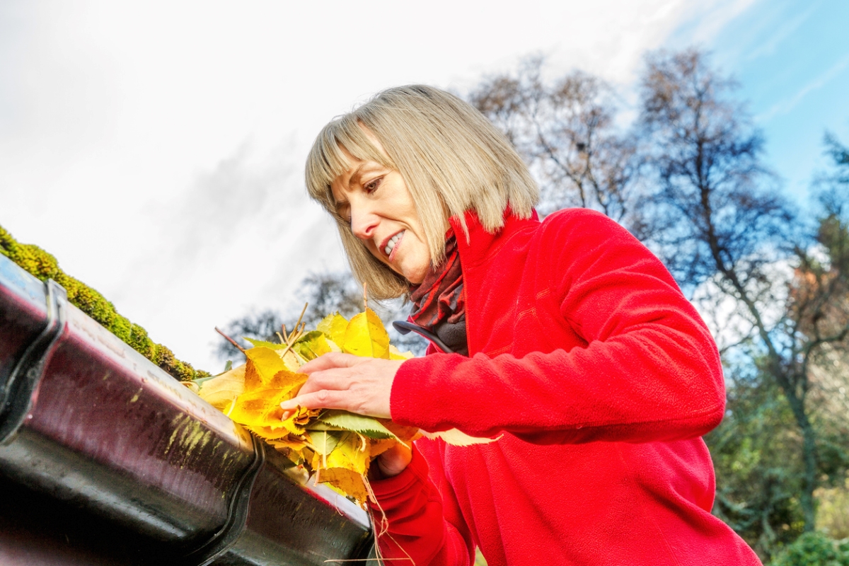 Woman wearing a red jacket, cleaning leaves from the gutters by hand.