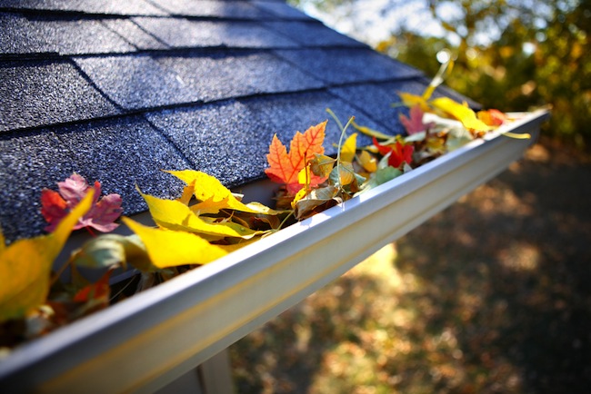 Avoid Gutter-Cleaning Forever After This One Improvement
