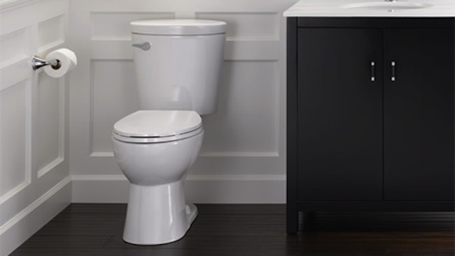 Delta SmartFit Toilet