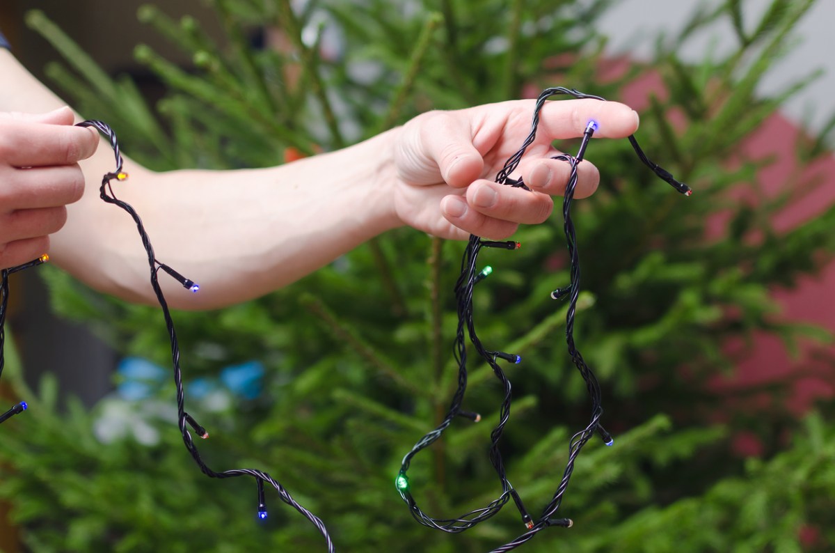 Man holding a string of Christmas lights with a Christmas tree in the background.