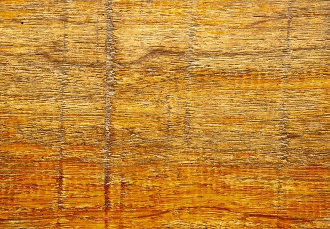 Carpet vs. Hardwood Flooring: The Great Debate, Explained