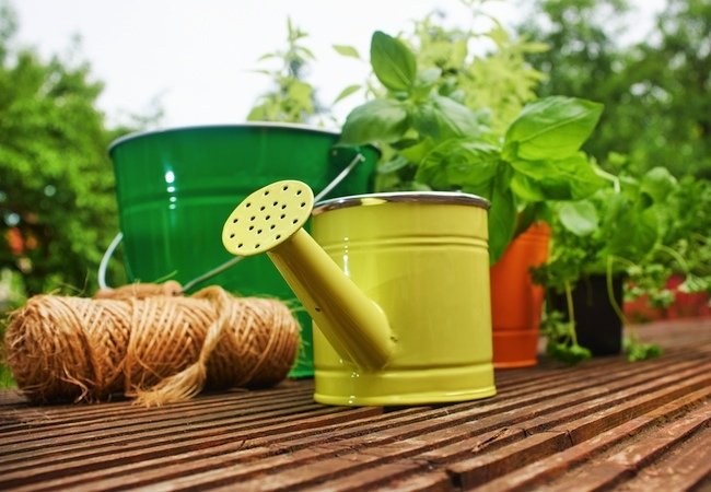 New Homeowner Tips - Gardening