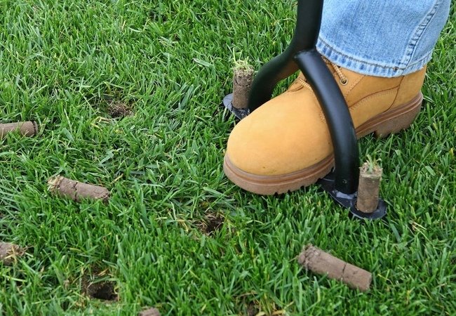 Spring Lawn Care - Aeration