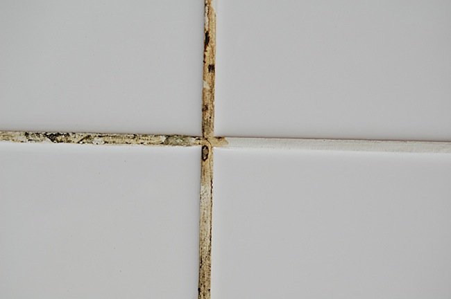 cleaning - replacing grout