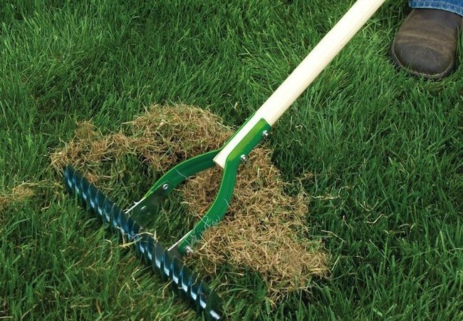 Spring Lawn Care - Dethatching