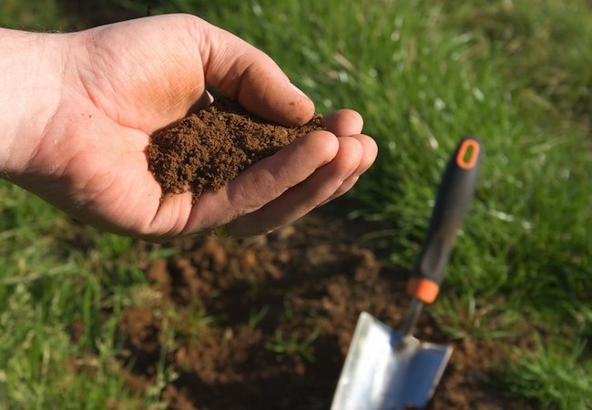 Spring Lawn Care - Soil Testing