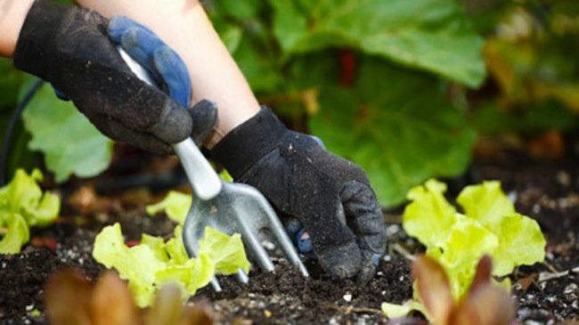 5 Home Maintenance Tips for Spring