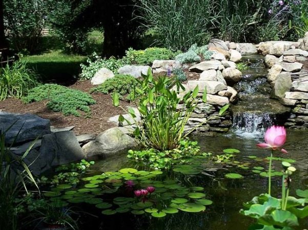 9 Relaxing Pond Waterfall Ideas for Your Backyard