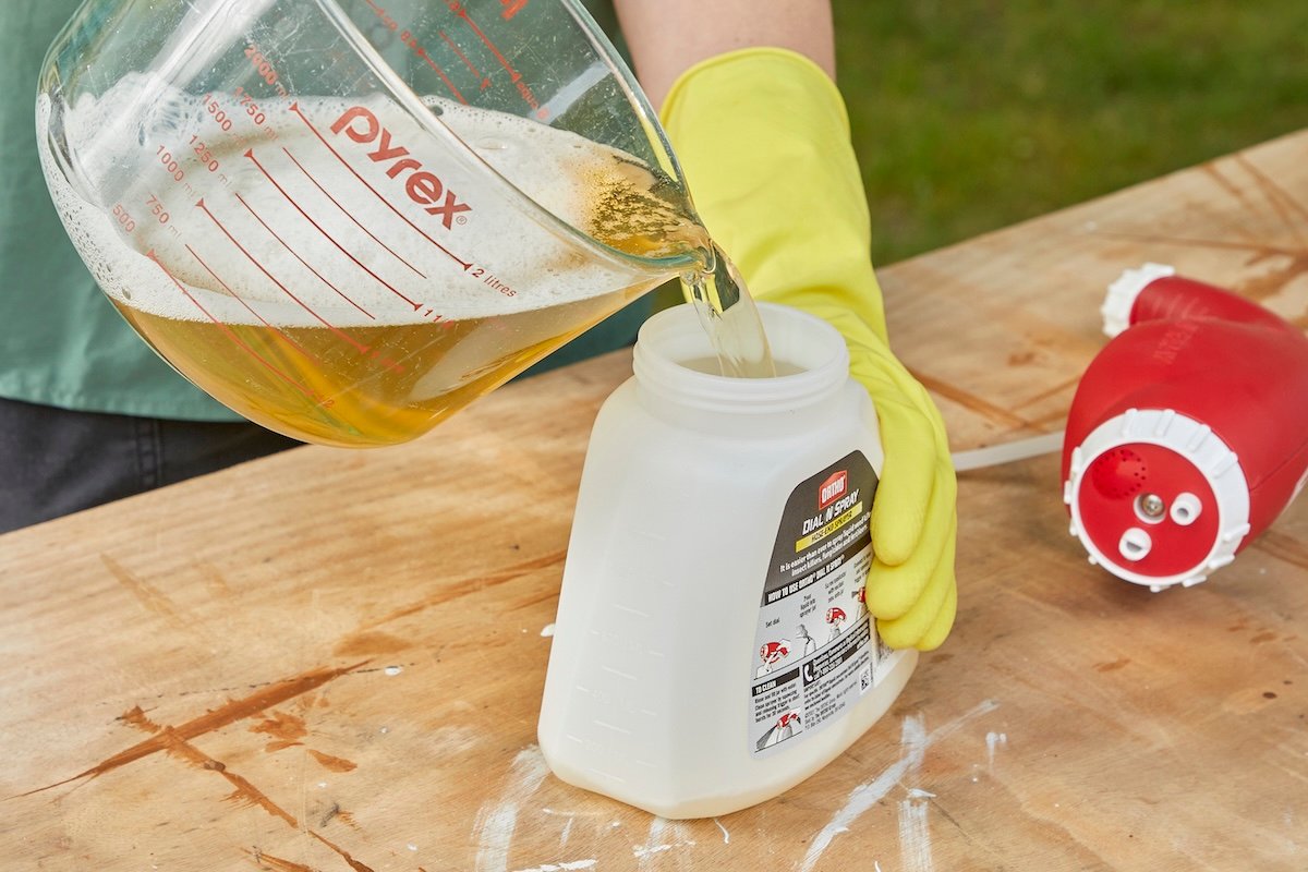 Woman pouring homemade fertilizer into a hose-end sprayer.