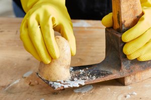 Person wearing rubber gloves rubs potato on a rusty ax blade.