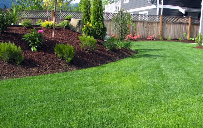 How To: Edge a Lawn