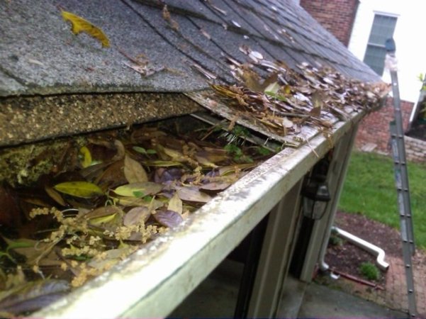 6 Signs You Need New Gutters
