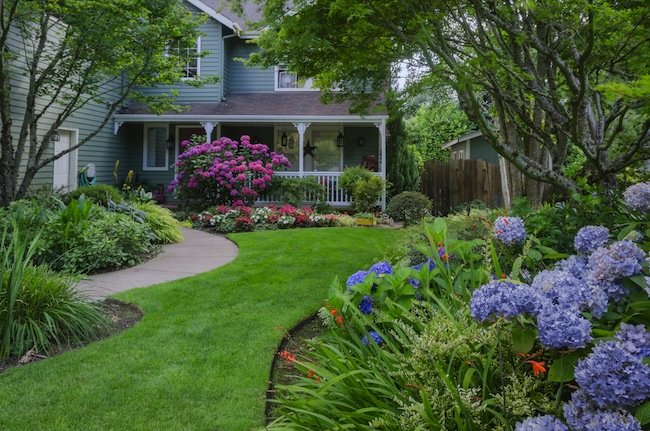 Project Guide: Front Yard Landscaping