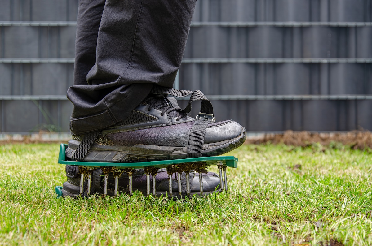 A person wearing aerating shoes to aerate the lawn.