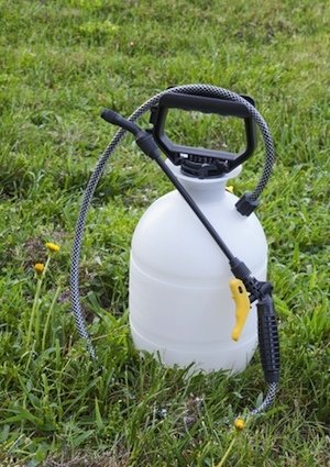 How to Get Rid of Crabgrass - Herbicide