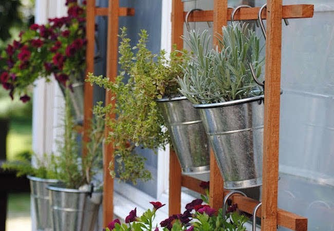 20 Ways to Garden Without a Backyard