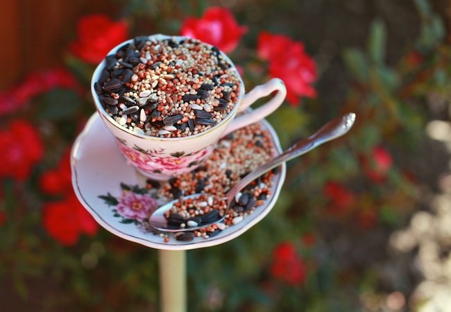 DIY Bird Feeder - Tea Cup