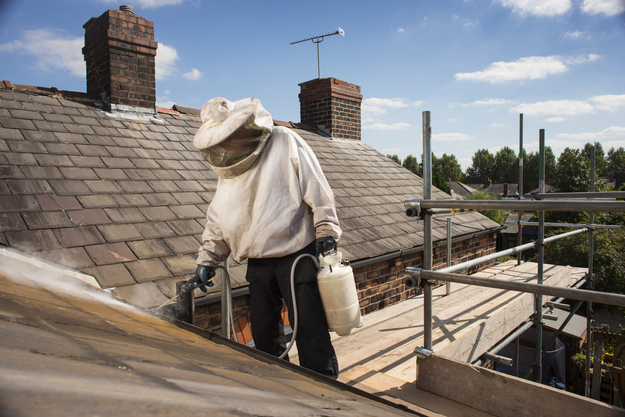 A person is wearing protective clothing while spraying the roof of their home.