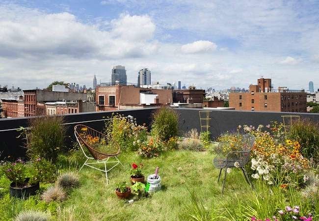 10 Rooftop Gardens That Bring Gardening to New Heights