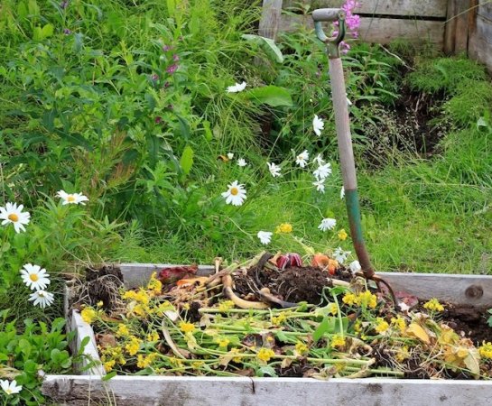 8 Top Tips for How to Use Compost