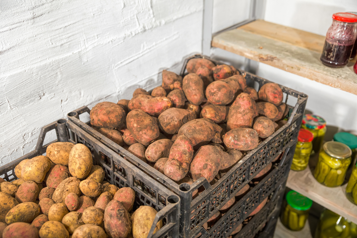 Root Cellar Storage