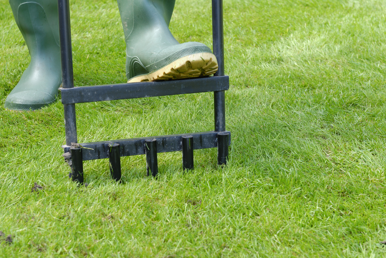 Aerating a grass lawn with a manual tool