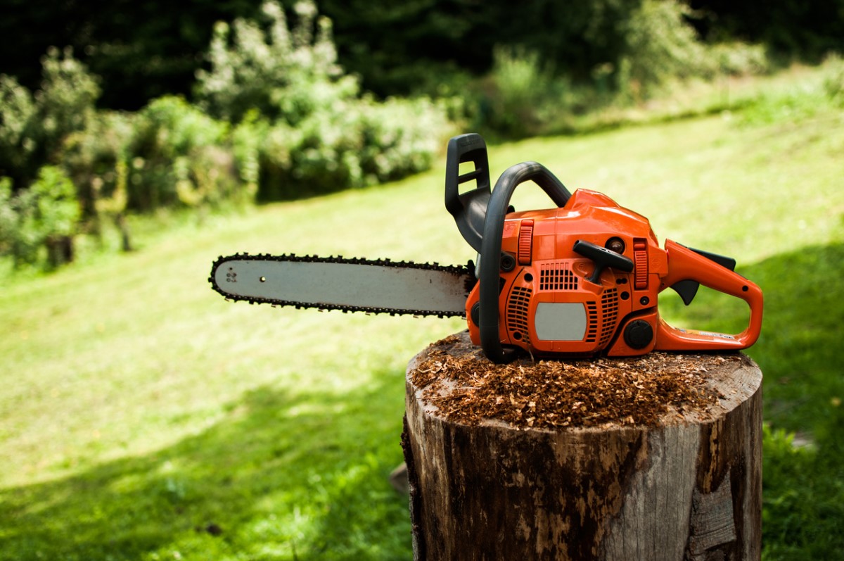 The Best Chainsaws for Landscaping and Harvesting Lumber