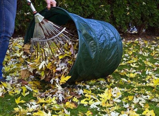 Winterize Your Lawn and Garden in 7 Steps