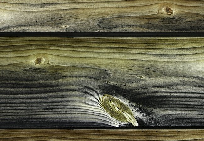 Painting Pressure-Treated Wood