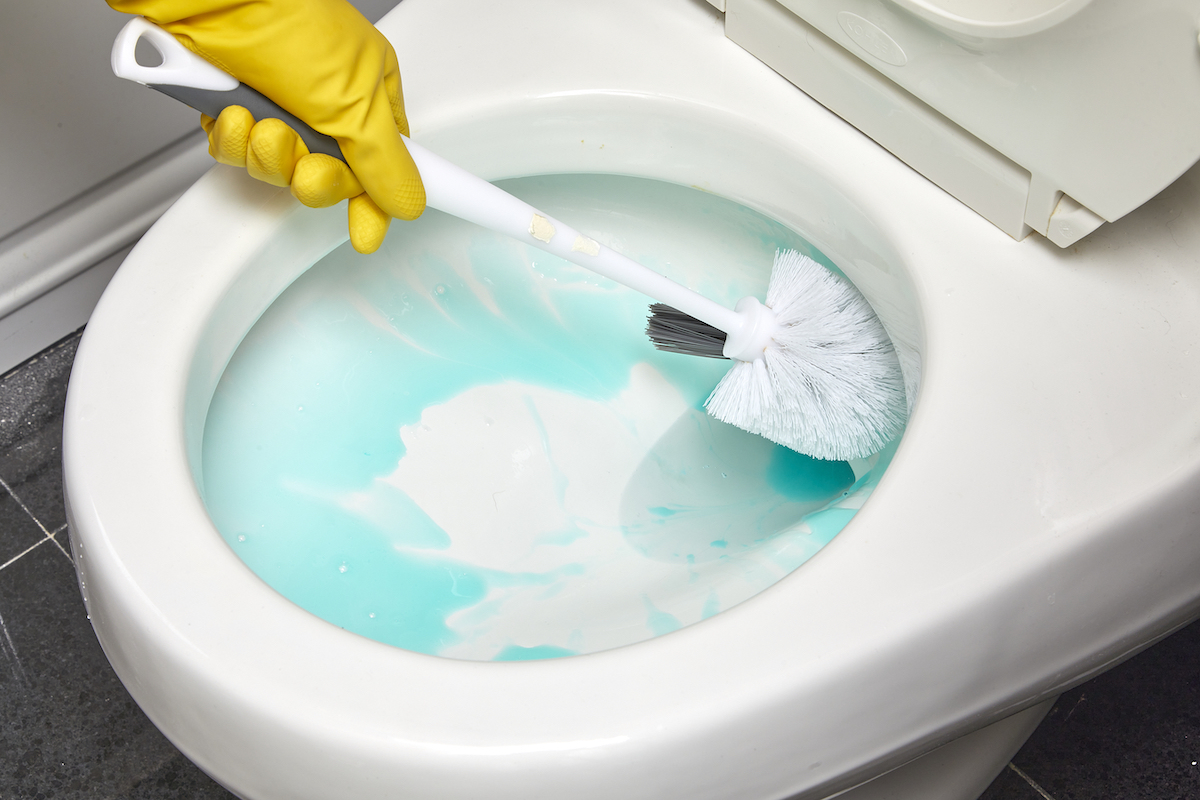 Person wearing rubber gloves using a toilet brush to scrub the inside of a toilet.