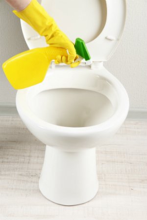 Cleaning Toilet Hard Water Stains