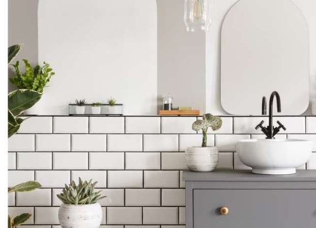 The 26 Best Plants for Bathroom Decor