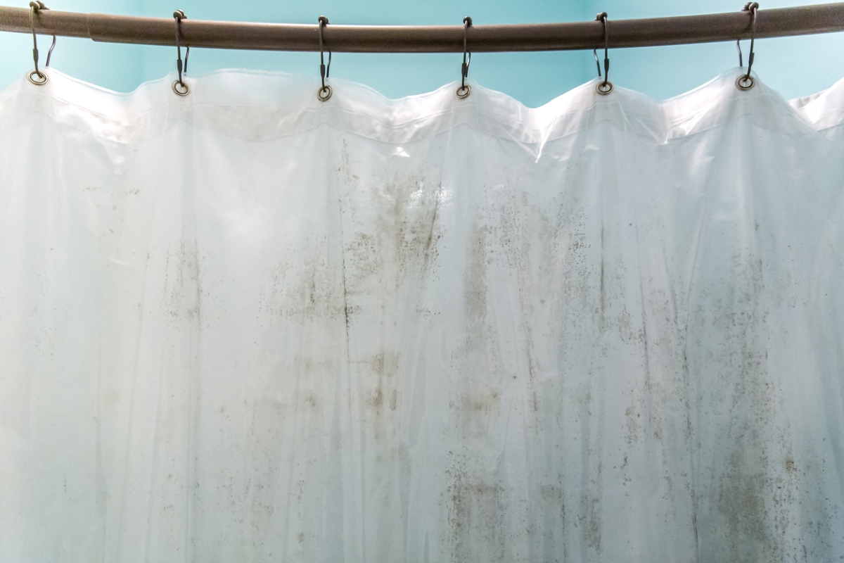 Dirty shower curtain.