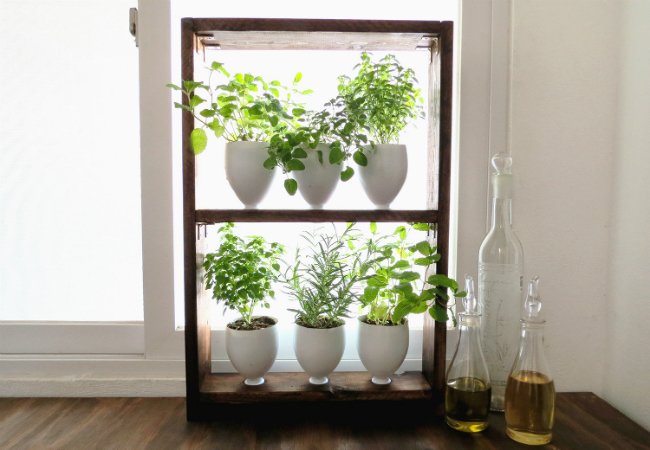 DIY Herb Garden - Window Garden
