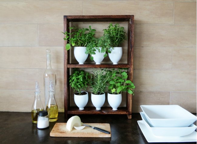 DIY Herb Garden - In Kitchen