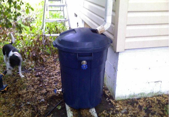 DIY Rain Barrel - Trash Can