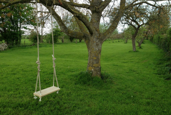 9 Insanely Easy 1-Hour Backyard Projects