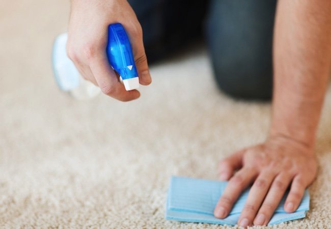 Quick Tip: Removing Coffee Stains from Carpet