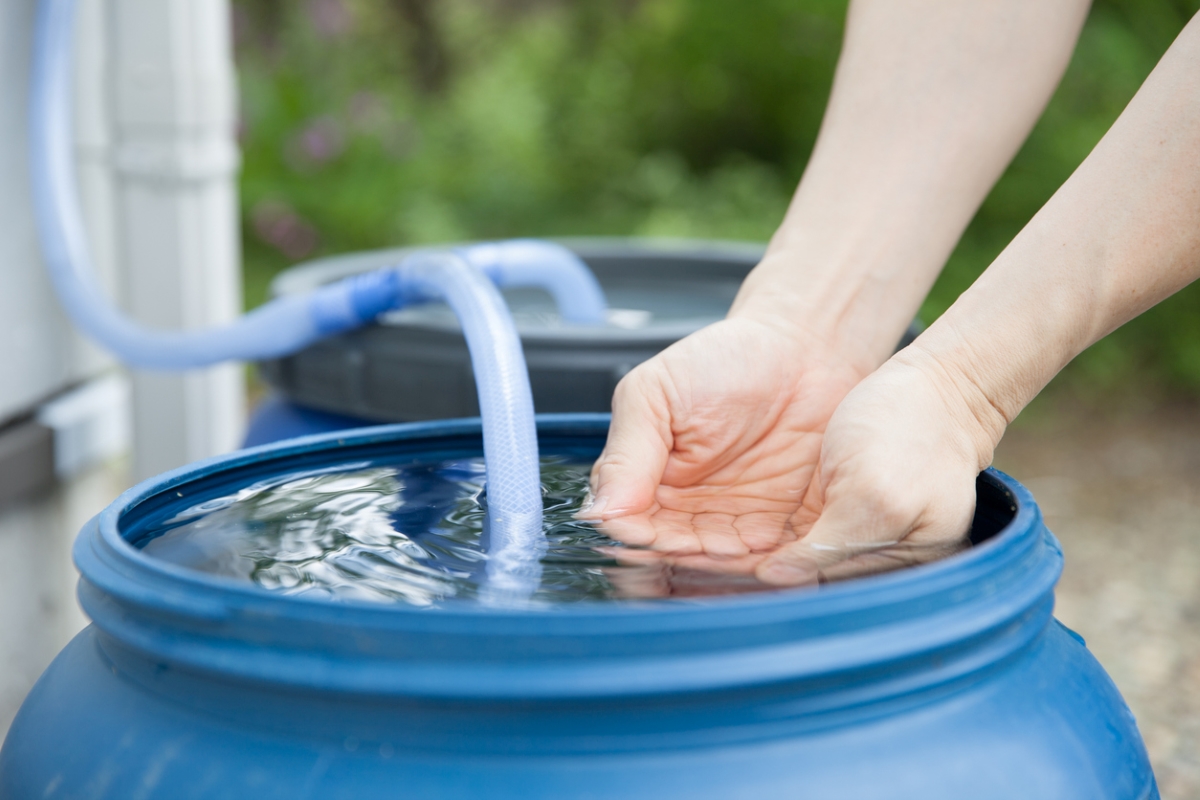 Person dipping their hands into water collected in a blue rain tank.