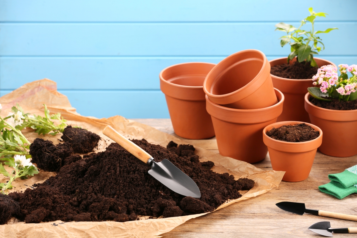 Garden soil and a trowel next to a collection of terracotta pots.