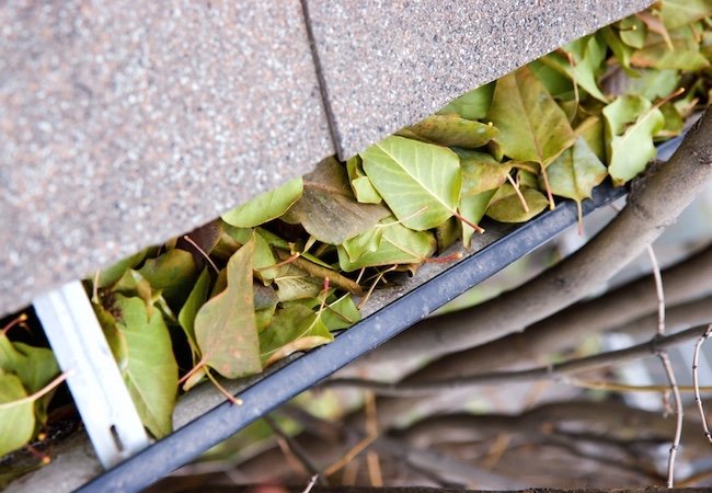 3 Wacky Tricks for Cleaning Gutters—Plus 1 Good Idea