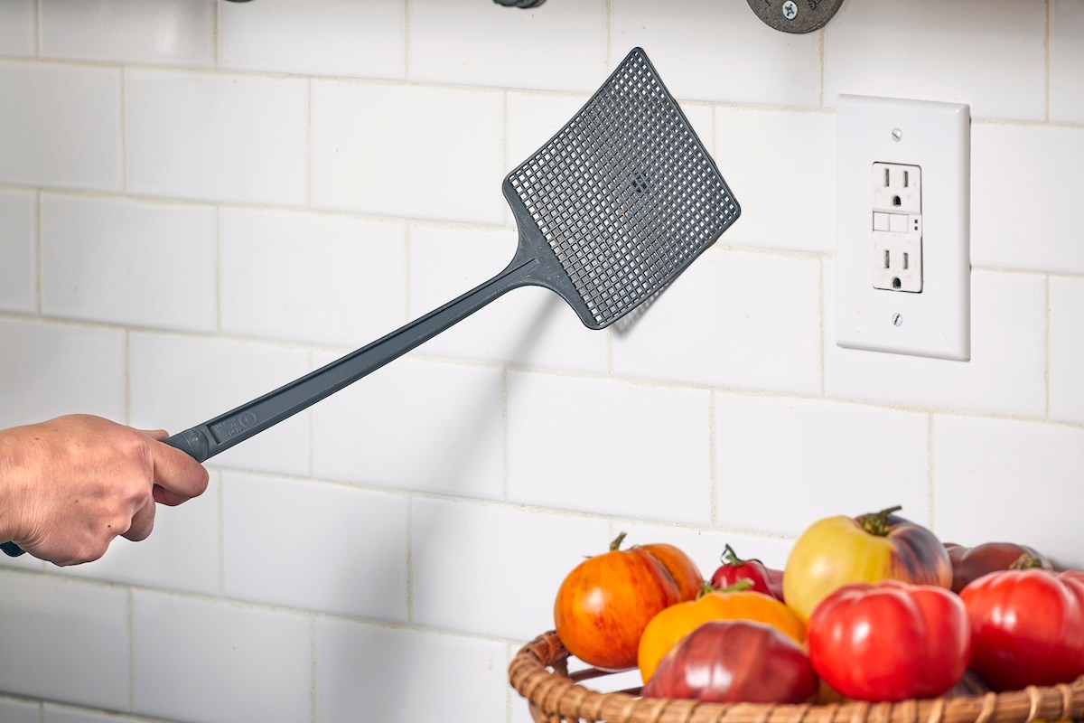 7 Ways to Conquer an Indoor Fly Infestation