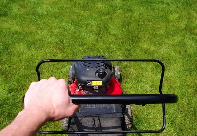 Lawn Mower Pit Stop: 5 Maintenance Musts
