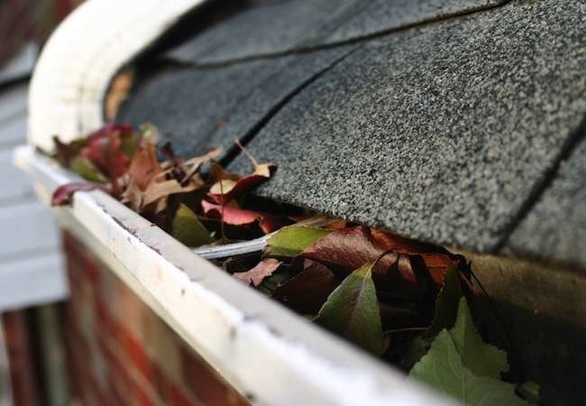 Genius! Clean Your Gutters without a Ladder