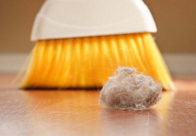 3 Fixes for Dust Mites