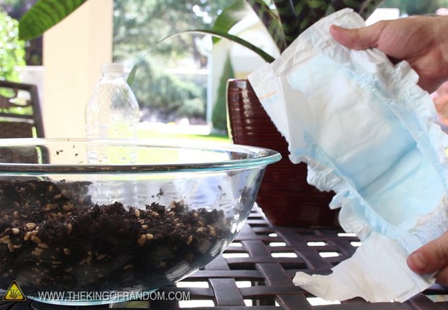 7 Times to Throw Garbage in Your Garden