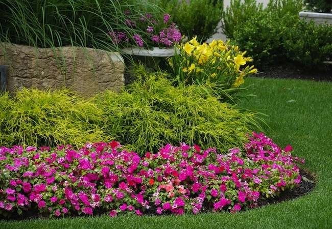 Don’t Make These 8 Mistakes in Your Front Yard